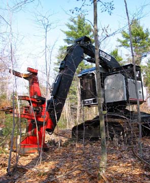 Current tree harvesting machine