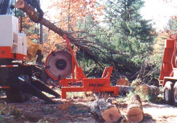 Portable saw