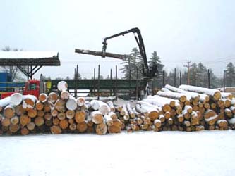 Unloading logs at a sawmill