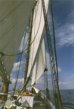 Schooner Bowdoin
